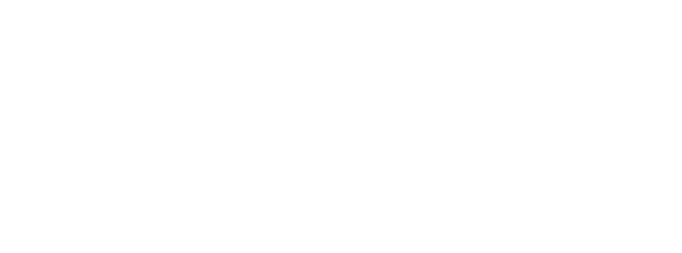 VENZAGITO